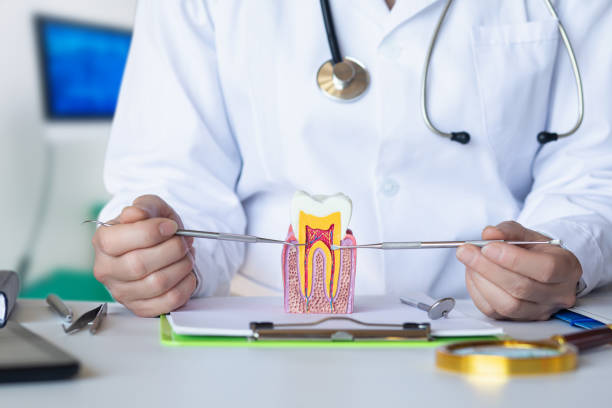 Best Pediatric Emergency Dentist in Stirling, NJ
